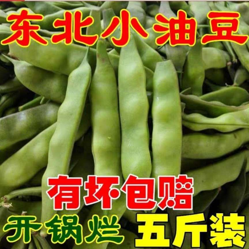 东北油豆角5斤包邮农家新鲜蔬菜特产九月青开锅烂现摘自种农产品 $17